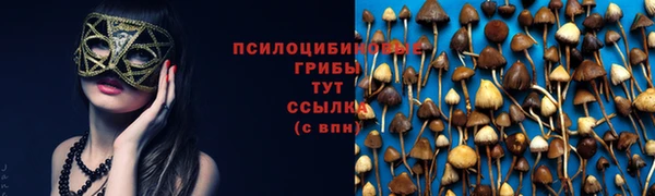 MDMA Premium VHQ Белокуриха