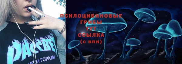 не бодяженный Беломорск